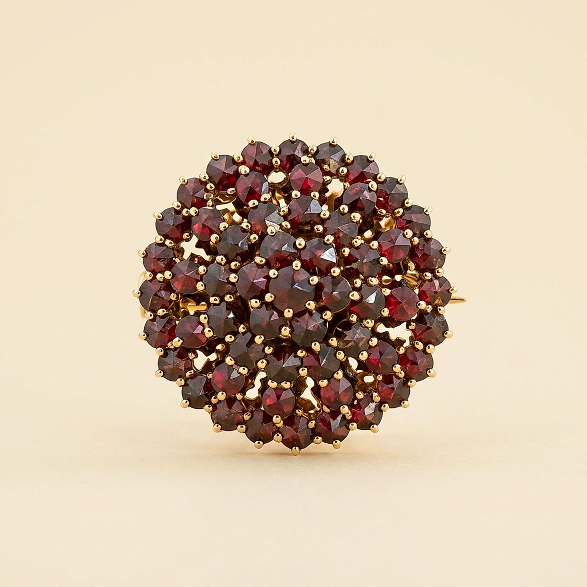 Victorian 14K Yellow Gold and Garnet Circle Pin